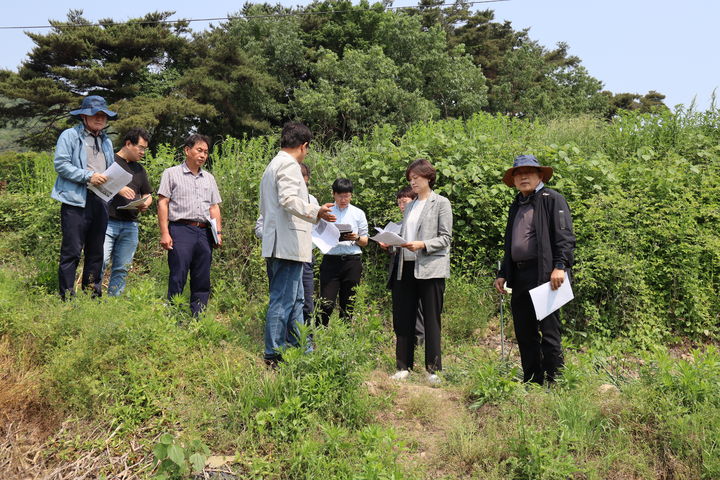 [세종=뉴시스] 농촌진흥청은 27일 전남 영광군 시험 재배지를 찾아 생분해성 멀칭필름 시제품의 성능 평가를 진행 중이라고 밝혔다. (사진=농진청 제공) 2025.05.27. photo@newsis.com *재판매 및 DB 금지