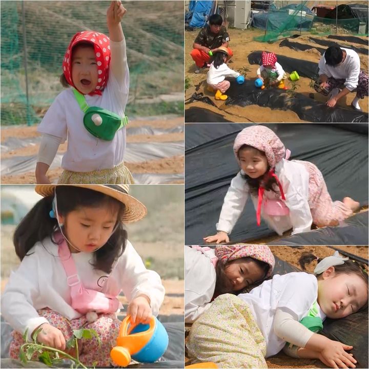 [서울=뉴시스] KBS 2TV 예능물 '슈퍼맨이 돌아왔다'가 28일 오후 8시 30분 방송된다. (사진=KBS 2TV '슈퍼맨이 돌아왔다' 제공) 2025.05.27. photo@newsis.com *재판매 및 DB 금지