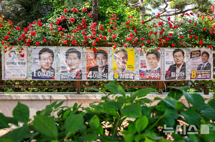 [서울=뉴시스] 정병혁 기자 = 제21대 대통령 선거를 일주일 앞둔 27일 서울 용산구 효창동에 위치한 한 아파트 화단에 심어진 장미꽃 밑으로 벽보가 걸려있다. 2025.05.27. jhope@newsis.com