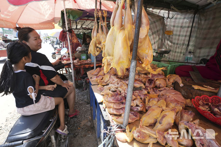 [AP/뉴시스] 25일 캄보디아 프놈펜 길거리 닭고기 판매