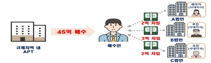 [서울=뉴시스] 국토교통부가 실시한 서울지역 주택 이상거래 합동 기획조사에서 100건이 넘는 위법 의심 거래를 적발했다. 그림은 법인자금 유용 의심 사례. 2025.05.28. (사진=국토교통부 제공) photo@newsis.com *재판매 및 DB 금지
