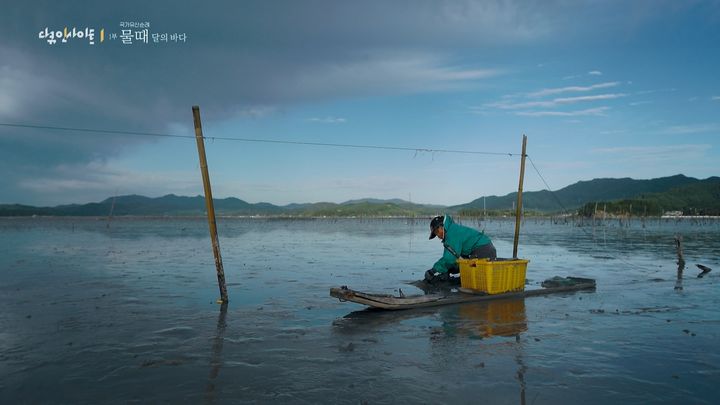 [서울=뉴시스] '물때, 달의 바다' 다큐멘터리 주요 장면 (사진=국가유산진흥원 제공) 2025.05.28. photo@newsis.com *재판매 및 DB 금지