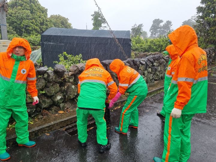[제주=뉴시스] 주민참여형 마을단위 순찰조직인 '올레순찰대'가 여름철 재난대응을 위해 활동을 시작한다. 사진은 집중호우 피해를 막기 위해 하수구를 정비하는 모습이다. (사진=제주도 제공) photo@newsis.com *재판매 및 DB 금지