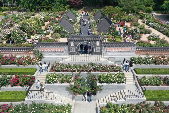 [서울=뉴시스] 한국도로공사 전주수목원 장미정원 '장미의 뜨락' 전경. 2025.05.28. (사진=도로공사 제공) photo@newsis.com&nbsp; *재판매 및 DB 금지