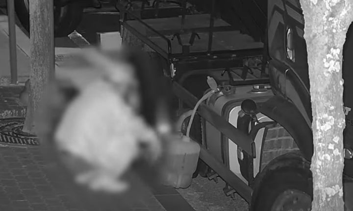 [서울=뉴시스] 경북 영주시에서 한 남성이 주차된 화물차에서 기름을 훔치다가 관제센터의 신고로 현장 체포됐다. (사진 = 유튜브 캡처) 2025.05.28. *재판매 및 DB 금지