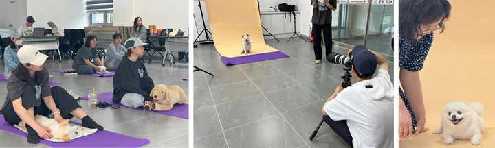 [임실=뉴시스] 전북 임실군이 마련한 반려동물 문화프로그램 '쓰담 힐링 클래스' 참여자들이 반려동물 마사지 실습과 반려동물 프로필 사진 촬영을 하고 있다. (사진=임실군 제공) 2025.05.28. photo@newsis.com&nbsp; *재판매 및 DB 금지