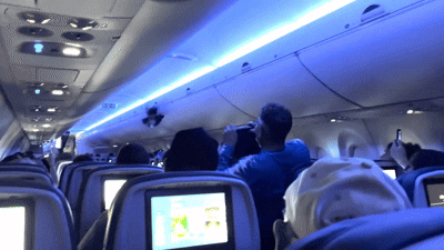 [뉴시스]한 승객이 기내에 난입한 비둘기를 잡으려는 모습이다. 델타 항공 기내에서 비둘기 두 마리가 나타나는 해프닝이 벌어졌다. (사진=뉴욕포스트) 2025.5.28 *재판매 및 DB 금지 *재판매 및 DB 금지