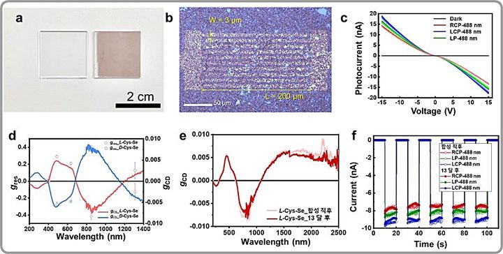 [대전=뉴시스] KAIST가 좌우회전 빛 구별 반도체 소재기술을 확보해 양자광학 혁신이 기대된다. 사진은 원형편광(CPL) 감지가 가능한 셀레늄 나노필름 소자 및 광응답 특성.(사진=KAIST 제공) *재판매 및 DB 금지