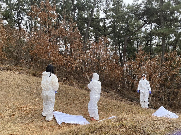 [대구=뉴시스]대구시 보건환경연구원 관계자들이 수성구 산책로에서 참진드기를 채집하고 있다(사진=대구시 제공) 2025.05.28 photo@newsis.com *재판매 및 DB 금지