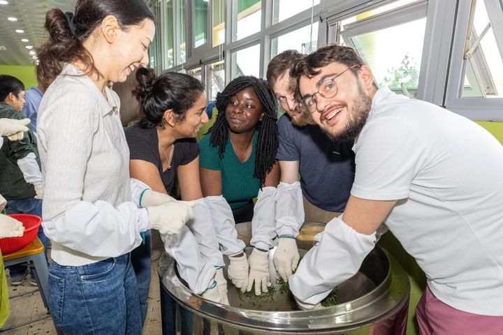 [보성=뉴시스] 제48회 보성다향대축제에 참여한 외국인 관광객들의 차 만들기 체험 장면. (사진=보성군 제공) 2025.05.28. photo@newsis.com *재판매 및 DB 금지