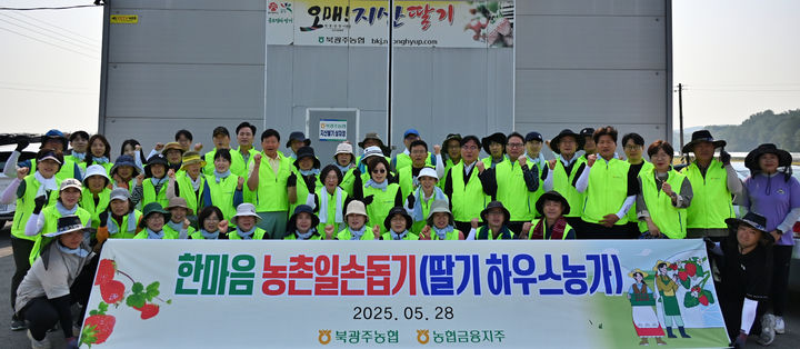광주권 농협금융지주 계열사 농촌 일손 돕기 모습. (사진=농협 광주본부 제공) photo@newsis.com *재판매 및 DB 금지