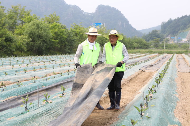 [세종=뉴시스]농협중앙회가 28일 강원도 홍천군 서면·북방면 소재 가지 농가를 방문해 '노사 공동 영농철 농촌 일손돕기'를 실시했다. (오른쪽)지준섭 농협중앙회 부회장, (왼쪽)우진하 전국금융산업노동조합 NH농협지부 위원장. (사진=농협중앙회 제공) *재판매 및 DB 금지