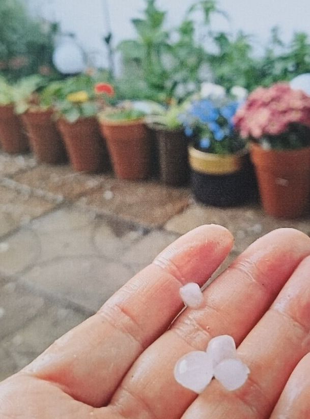 음성에 떨어진 우박(사진=청주기상지청 제공) *재판매 및 DB 금지