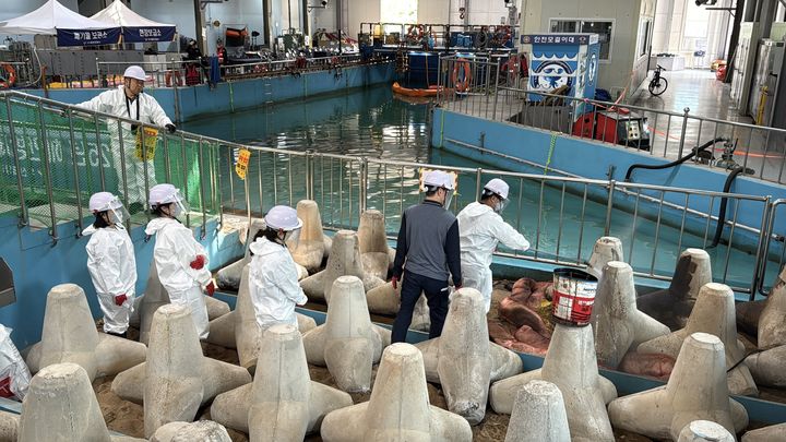 [부산=뉴시스] 28일 부산 영도구 해양환경교육원에서 해안방제 실습이 진행되고 있다. (사진=부산해양경찰서 제공) 2025.05.29. photo@newsis.com *재판매 및 DB 금지