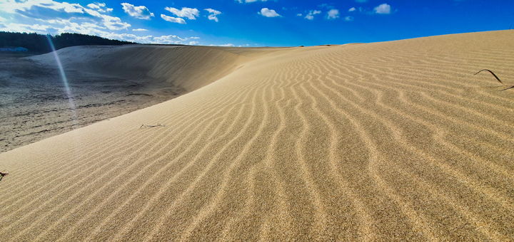 [태안=뉴시스] 천연기념물 충남 태안군 원북면 신두리 해안사구. (사진=태안군 제공) 2025.05.29. photo@newsis.com *재판매 및 DB 금지