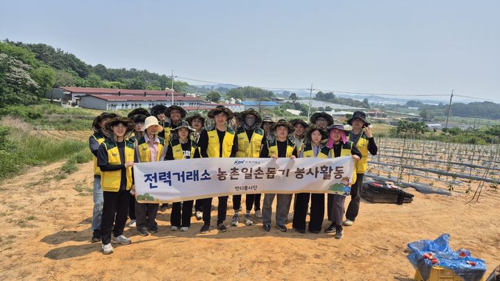 [나주=뉴시스] 농촌 일손돕기 펼친 전력거래소 반디봉사단. (사진=전력거래소 제공) 2025.05.29. photo@newsis.com *재판매 및 DB 금지