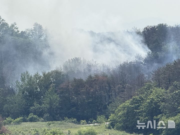 [포항=뉴시스] 안병철 기자 = 29일 오후 1시52분께 경북 포항시 남구 동해면 신정리 인근 야산에 해군 항공사령부 소속 P-3 해상초계기가 추락했다. 2025.05.29. abc1571@newsis.com