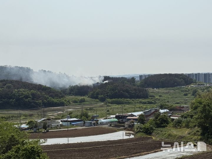 [포항=뉴시스] 안병철 기자 = 29일 오후 1시52분께 경북 포항시 남구 동해면 신정리 인근 야산에 해군 항공사령부 소속 P-3 해상초계기가 추락했다. 2025.05.29. abc1571@newsis.com