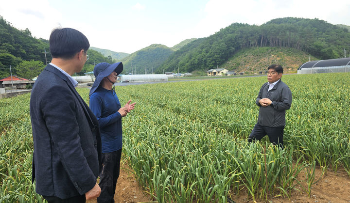 [세종=뉴시스]권철희 농촌진흥청 농촌지원국장(오른쪽)이 29일 충북 단양 적성면에 있는 마늘 종구 전문생산 농업인을 만나 안정 생산을 위한 기술 수요를 청취하고 있다. (사진=농진청 제공) *재판매 및 DB 금지