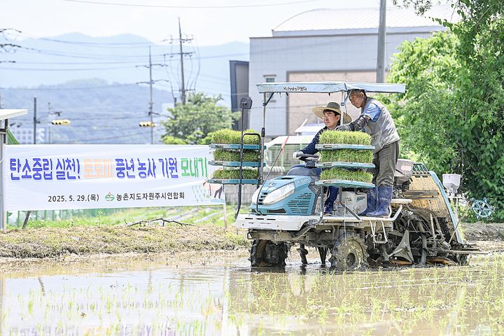 원주 쌀 '토토미' 풍년 농사 기원 모내기 *재판매 및 DB 금지