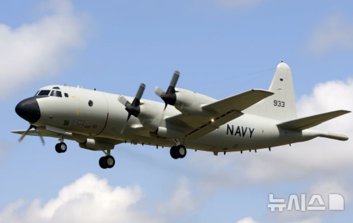 [포항=뉴시스] 송종욱 기자 = 29일 경북 포항시 남구 동해면 신정리 인근 야산에 추락한 P-3 해상 초계기. 2025.05.29. photo@newsis.com