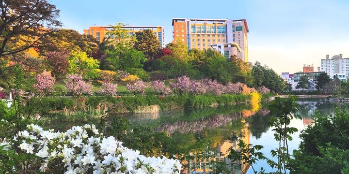 건국대는 최근 혁신 사업 'RISE'에서 5개 과제에 선정됐다. (사진=건국대 제공) *재판매 및 DB 금지