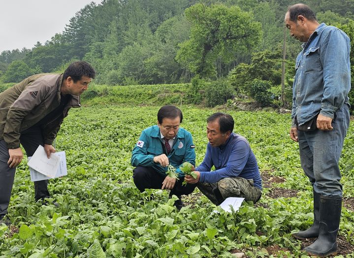 우박 피해 상황 점검하는 김문근(가운데) 단양군수 *재판매 및 DB 금지