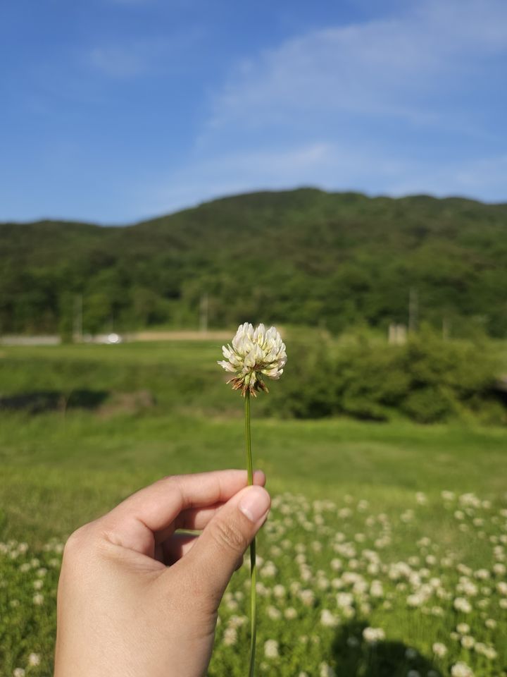 사전투표 마지막날 충남권 맑음…일교차 커 '감기 조심'