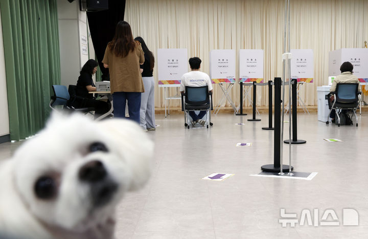 [부산=뉴시스] 하경민 기자 = 제21대 대통령선거 사전투표 첫날인 29일 부산 연제구 거제4동행정복지센터에 마련된 사전투표소에서 시민들이 소중한 한 표를 행사하는 모습을 애완견이 지켜보고 있다. 부산 사전투표는 오는 30일까지 이틀간 오전 6시~오후 6시 투표소 206곳에서 진행된다. 2025.05.29. yulnetphoto@newsis.com