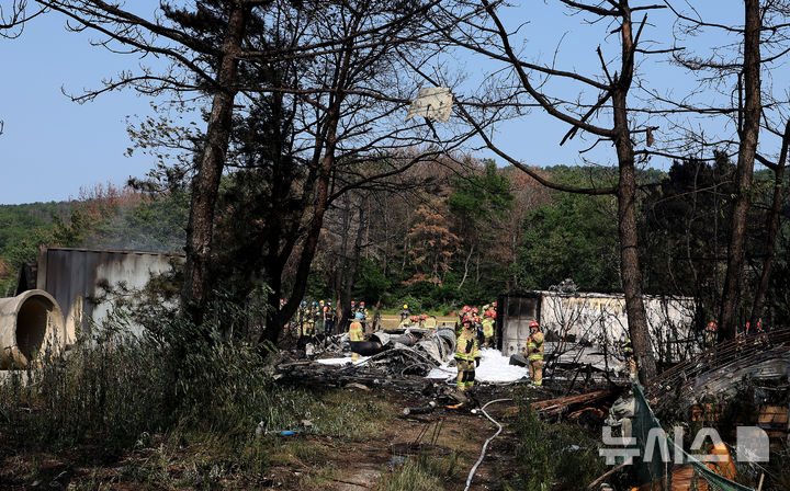 [포항=뉴시스] 이무열 기자 = 29일 오후 1시 52분께 경북 포항시 남구 동해면 신정리 인근 한 야산에 해군 항공사령부 소속 P-3 해상초계기가 추락해 군과 소방 당국 등 관계기관이 현장 수습을 하고 있다. 2025.05.29. lmy@newsis.com