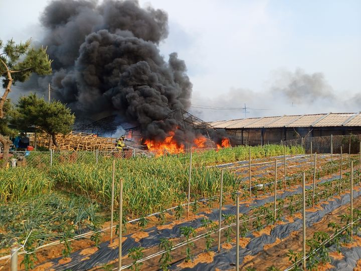 [천안=뉴시스] 지난 29일 오후 4시49분께 충남 천안시 동남구 성남면 대흥리의 한 빈 양계장에서 불이 나 소방대원이 진화에 나서고 있다. (사진=천안동남소방서 제공) 2025.05.30. photo@newsis.com&nbsp; *재판매 및 DB 금지