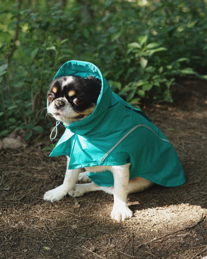 (사진=아이더 제공) *재판매 및 DB 금지