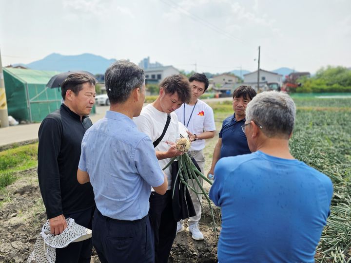 [함양=뉴시스] 일본 양파재배 기술 함양에서 전수 (사진=함양군 제공) 2025. 05. 30. photo@newsis.com&nbsp; *재판매 및 DB 금지