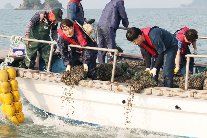 [인천=뉴시스] 문경복 옹진군수가 29일 인천 옹진군 영흥면 내리촌계 체험어장에서 바지락 종자를 살포하고 있다. (사진=옹진군 제공) 2025.05.30. photo@newsis.com *재판매 및 DB 금지