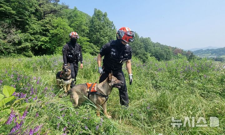 [창원=뉴시스]경상남도소방본부 경남119특수대응단 대원들이 119구조견의 실종자 수색 훈련을 실시하고 있다.(사진=경상남도소방본부 제공) 2025.05.30. photo@newsis.com