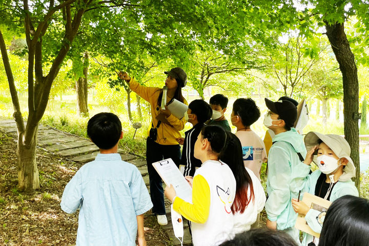 [광주=뉴시스] 어린이들이 숲길을 체험하고 있다. (사진=광주 서구 제공) 2025.05.30. photo@newsis.com *재판매 및 DB 금지