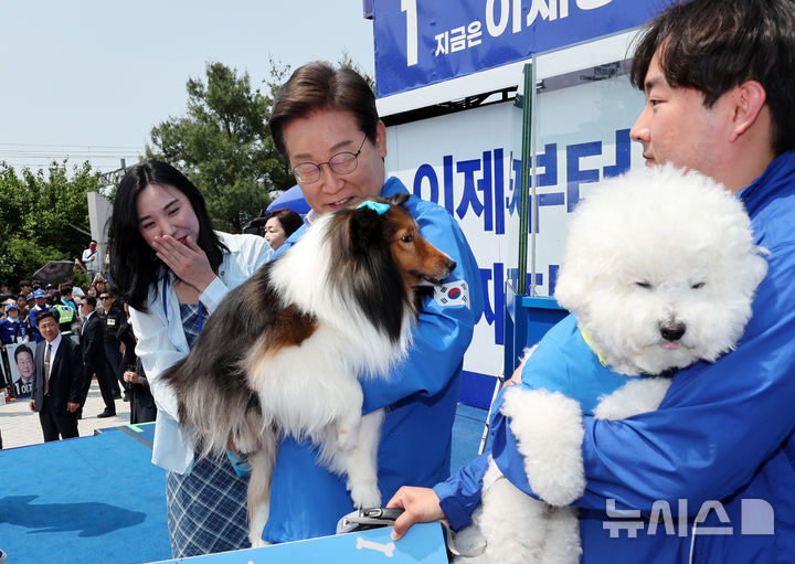 [춘천=뉴시스] 조성우 기자 = 이재명 더불어민주당 대선후보가 30일 오후 강원 춘천시 춘천역 광장에서 열린 집중유세에서 강원도에 사는 강아지 토리, 뭉치를 안아 보고 있다. 2025.05.30. xconfind@newsis.com