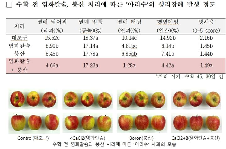 기후 변화로 인해 사과에 발생하는 생리장해 문제가 커지는 가운데, 농촌진흥청은 1일 고품질 추석용 사과 품종인 '아리수'의 재배 관리를 통해 생리장해를 줄일 수 있는 방법을 제시했다. (자료 = 농진청 제공) 2025.06.01.&nbsp; *재판매 및 DB 금지