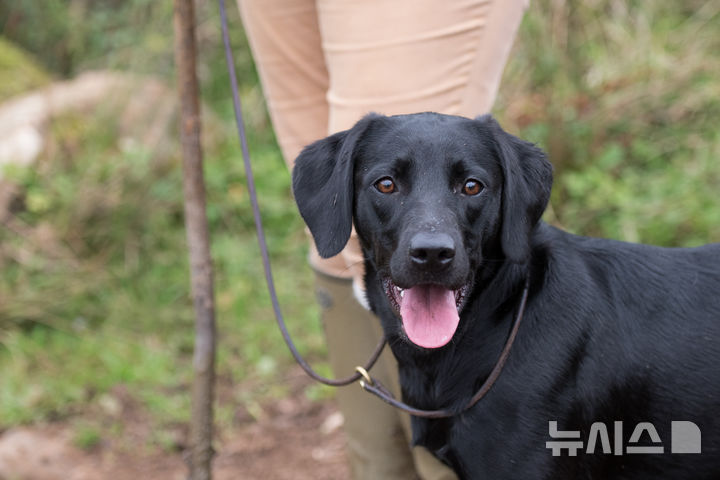 [뉴시스] 기사의 이해를 돕기 위한 이미지. (사진=유토이미지)