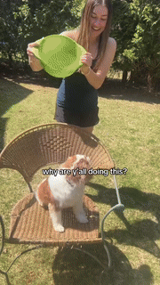 (영상='틱톡' 캡처) *재판매 및 DB 금지