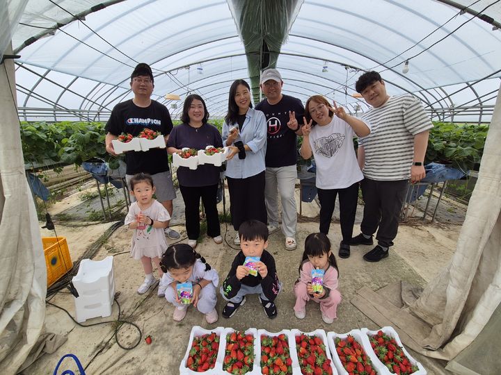 [광주소식]북구, 지역 특산물 지산딸기 수확 체험 등