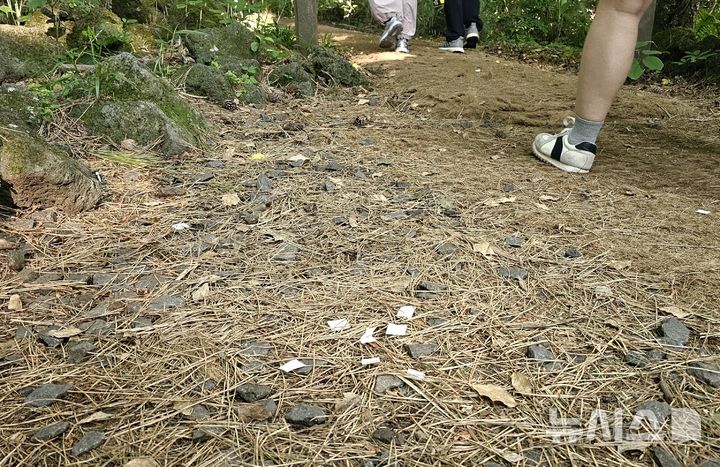[제주=뉴시스] 임재영 기자 = 1일 오전 한라산국립공원 관음사탐방로 입구 주변에는 정상 출입용 손목 밴드인 '띠지'를 부착하면서 발생하는 스티커 조각들이 버려져 있다. 2025.06.02. ijy788@newsis.com
