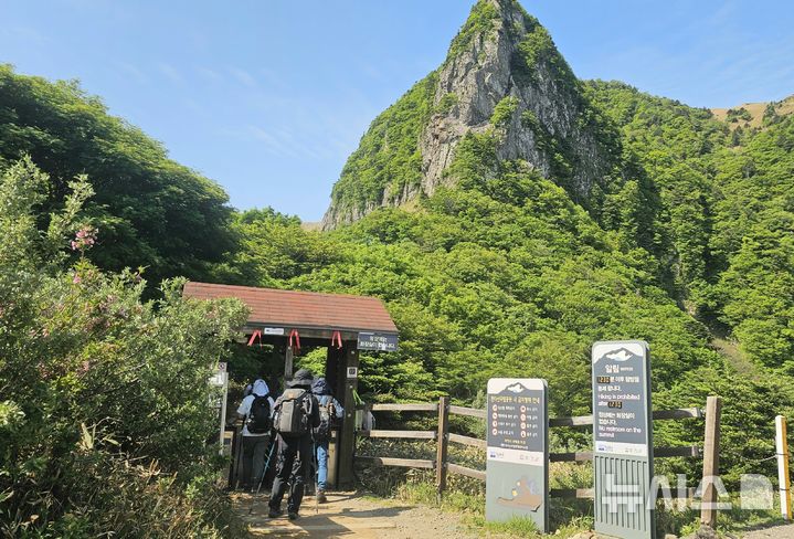 [제주=뉴시스] 임재영 기자 = 1일 오전 9시40분쯤 한라산국립공원 관음사탐방로 삼각봉대피소에 마련된 통제소를 등산객들이 지나고 있다. 정상 출입용 손목 밴드인 '띠지'를 확인하는 절차는 없었다. 2025.06.02. ijy788@newsis.com