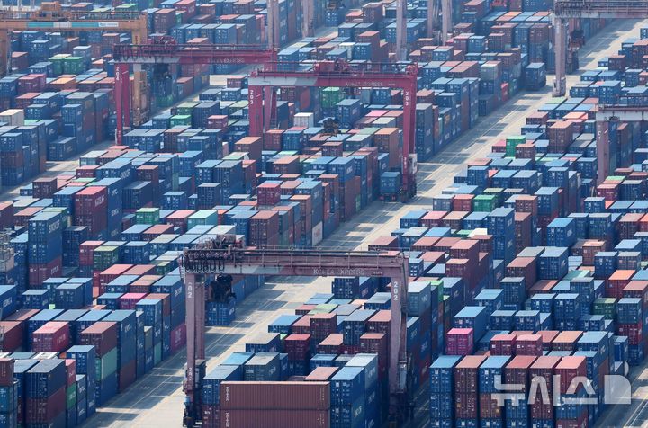 [부산=뉴시스] 하경민 기자 = 부산 남구 신선대부두 야적장에 수출입 컨테이너가 가득 쌓여 있다. 2025.06.01. yulnetphoto@newsis.com