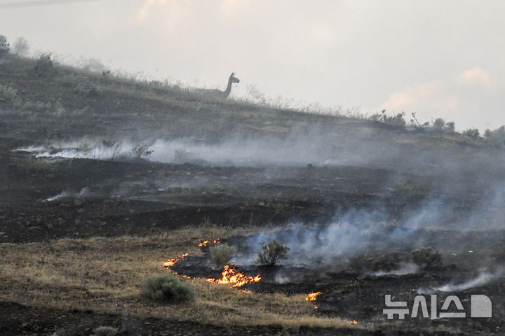 [ 루이스턴( 미 아이다호주)=AP/뉴시스] 미 아이다호주 루이스턴 북부의 하트와이 산악도로부근에서 5월 31일 산불이 일어나 타고 있다.&nbsp; 아이다호의 쾨르 달레느 지역에서는 6월 29일 화재신고를 받고 출동한 소방대가 총격을 당해 그중 2명이 사망한 사건이 발생했다.&nbsp; 2025. 06.30. 
