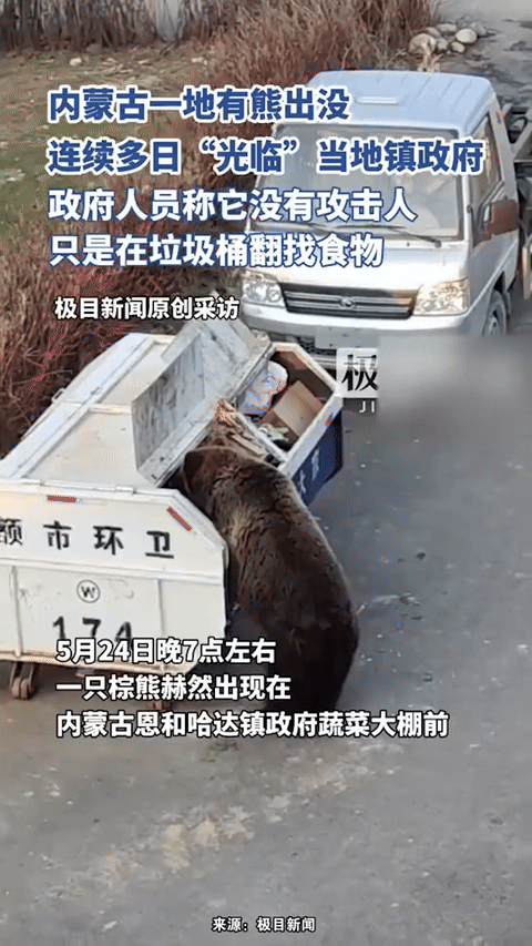 [뉴시스]중국의 한 마을에 야생곰 한 마리가 나타났다.(사진=샤오샹뉴스) *재판매 및 DB 금지&nbsp;&nbsp; *재판매 및 DB 금지