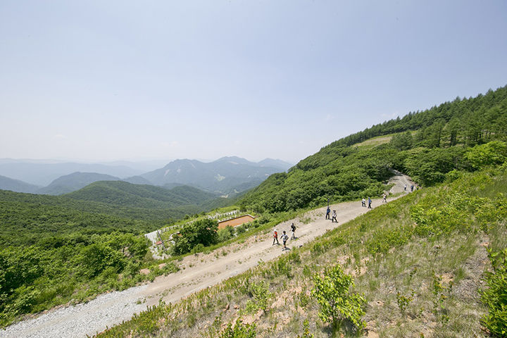 강원랜드 하늘길 트레킹 코스.(사진=강원랜드 제공) *재판매 및 DB 금지