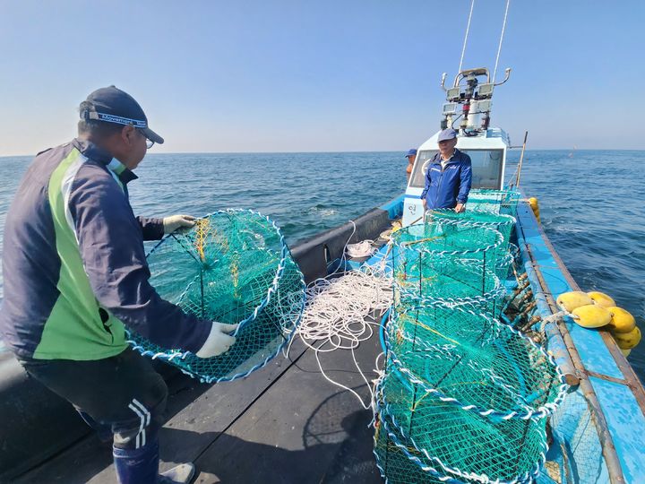 (사진=군산시 제공) *재판매 및 DB 금지