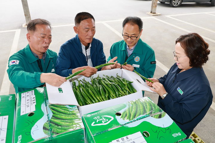  [예천=뉴시스] 예천농협 개포지점 농산물집하장에서 2일 본격 출하를 시작한 개포풋고추를 살펴보고 있다. (사진=예천군 제공) 2025.06.02. photo@newsis.com *재판매 및 DB 금지