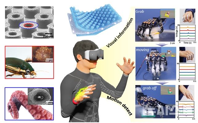 [전주=뉴시스]윤난슬 기자 = 전북대학교를 중심으로 한 국내 연구진이 기존 로봇 원격조작 기술의 한계를 뛰어넘을 수 있는 차세대 피부 부착형 동작 센서 패치를 개발해 학계의 주목을 받고 있다. (사진=전북대 제공) photo@newsis.com